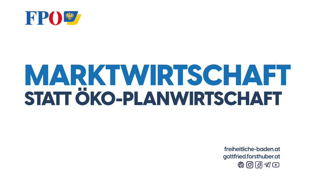 Marktwirtschaft statt Öko-Planwirtschaft. Mehr Leistung, mehr Lohn. Energie günstiger machen.